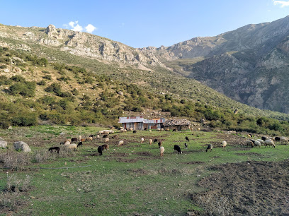 جاهای دیدنی مازندران روستای فیلبند