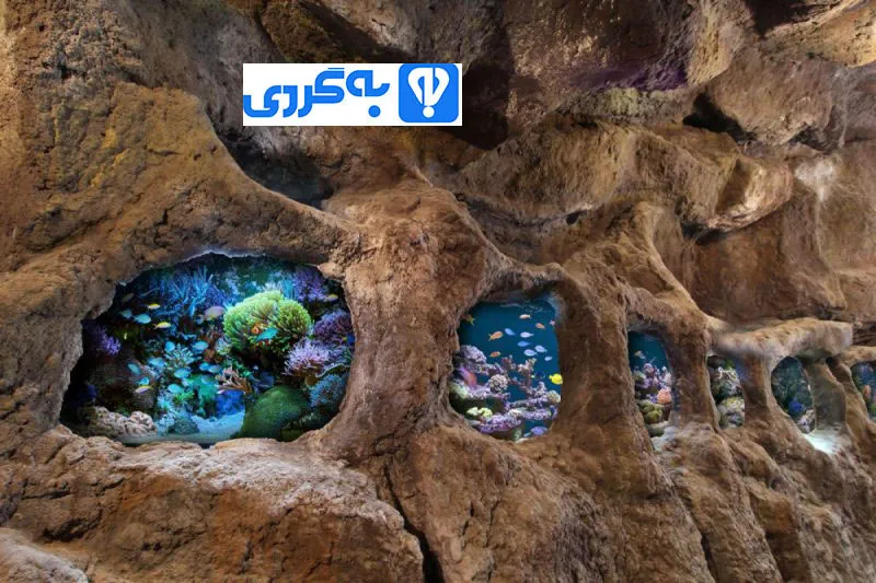 غار آکواریوم همدان