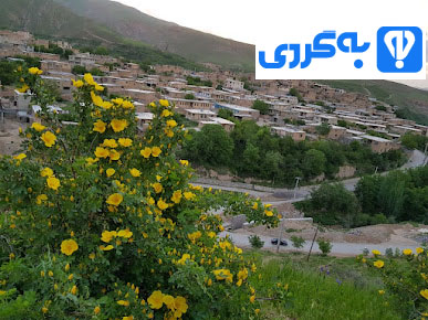 تصاویر روستای خفر سمیرم